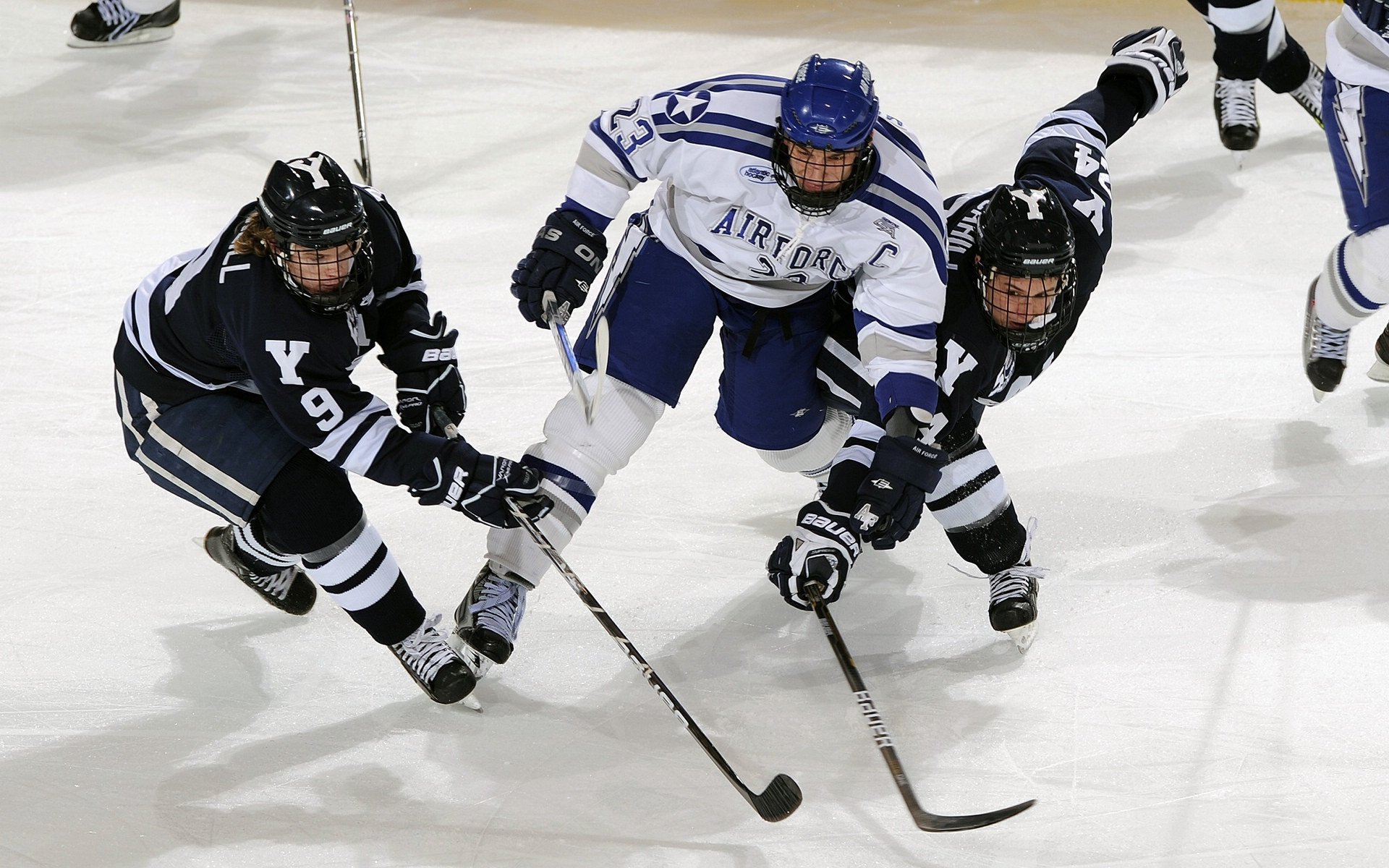 全国青少年冰壶比赛在哈尔滨如火如荼,2019—2020年全国冰壶赛事
