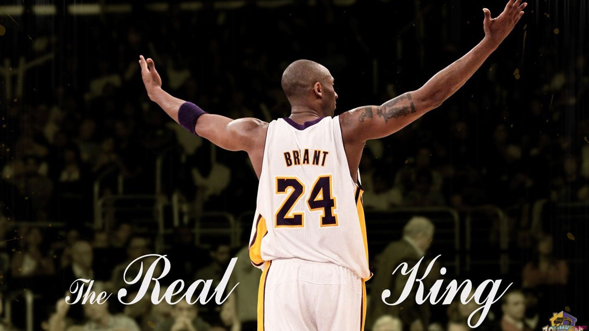 NBA联盟裁判员心理素质提升方案，nba裁判员名单